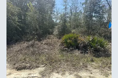 Ne 66th Lane, Bronson, FL 32621 - Photo 9