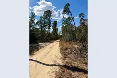 15575 NE 234th Place, Fort Mc Coy, FL 32134 - Photo 5