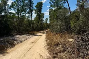 15575 NE 234th Pl, Fort Mc Coy, FL 32134 - Photo 5