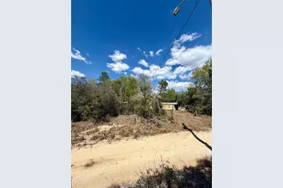 15575 NE 234th Place, Fort Mc Coy, FL 32134 - Photo 7