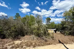 15575 NE 234th Pl, Fort Mc Coy, FL 32134 - Photo 7