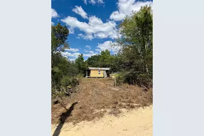 15575 NE 234th Place, Fort Mc Coy, FL 32134 - Photo 1
