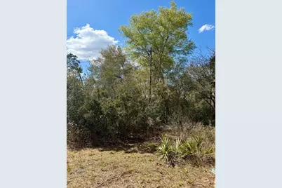 15575 NE 234th Place, Fort Mc Coy, FL 32134 - Photo 7