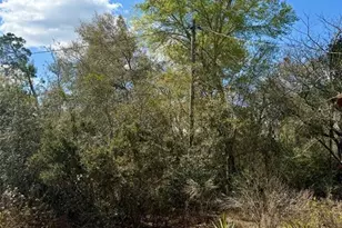 15575 NE 234th Pl, Fort Mc Coy, FL 32134 - Photo 7