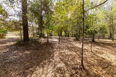 14881 NE 147th Avenue, Fort Mc Coy, FL 32134 - Photo 83