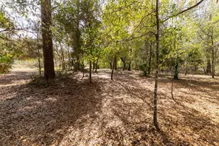 14881 NE 147th Ave, Fort Mc Coy, FL 32134 - Photo 83