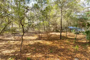 14881 NE 147th Ave, Fort Mc Coy, FL 32134 - Photo 89