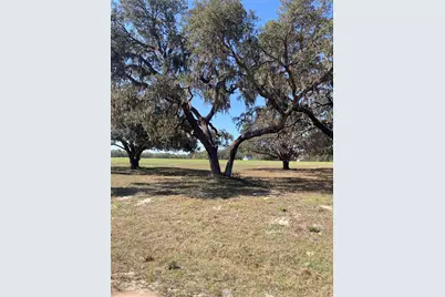 Tbd NE 56th Court, Anthony, FL 32617 - Photo 1