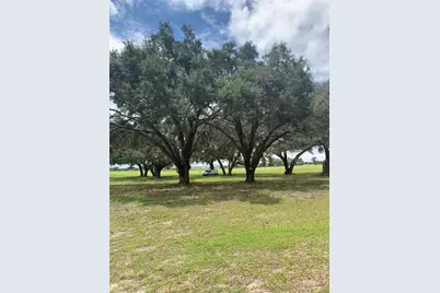 Tbd NE 56th Court, Anthony, FL 32617 - Photo 1