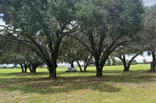 Tbd NE 56th Ct, Anthony, FL 32617 - Photo 1