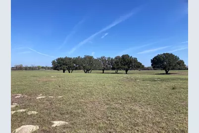 Tbd NE 56th Court, Anthony, FL 32617 - Photo 7