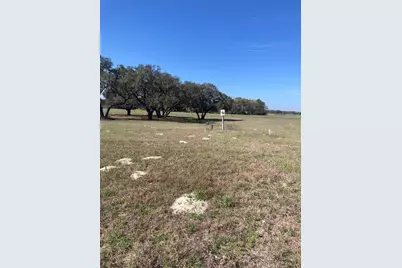 Tbd NE 56th Court, Anthony, FL 32617 - Photo 3