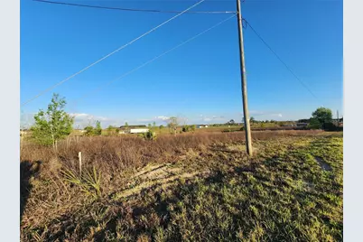 11790 NE 30th Street, Bronson, FL 32621 - Photo 5