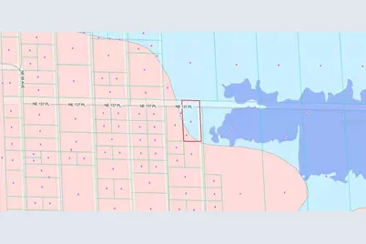Tbd NE 137th Place, Citra, FL 32113 - Photo 3