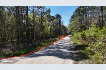 Tbd NE 137th Place, Citra, FL 32113 - Photo 7