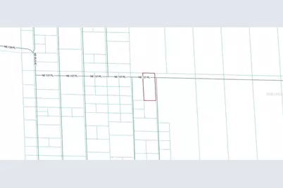 Tbd NE 137th Place, Citra, FL 32113 - Photo 5