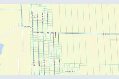Tbd NE 137th Place, Citra, FL 32113 - Photo 3