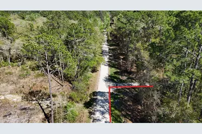 Tbd NE 137th Place, Citra, FL 32113 - Photo 11