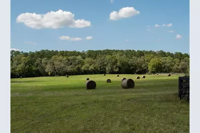 1100 SW 110th Avenue, Ocala, FL 34481 - Photo 5