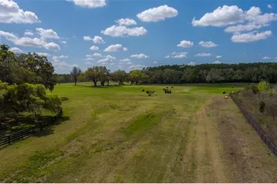 1100 SW 110th Avenue, Ocala, FL 34481 - Photo 7