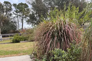 655 SE 162nd Terrace, Silver Springs, FL 34488 - Photo 29