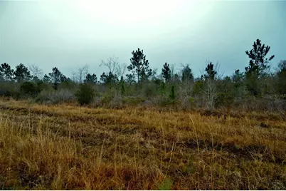 00 W Market Road, Starke, FL 32091 - Photo 9