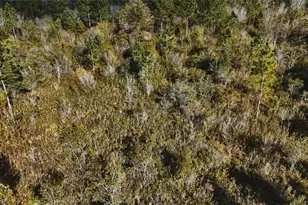 00 W Market Rd, Starke, FL 32091 - Photo 13