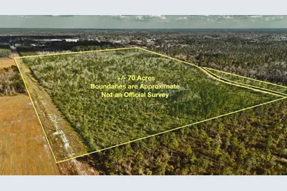 00 W Market Road, Starke, FL 32091 - Photo 5