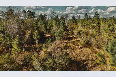 00 W Market Road, Starke, FL 32091 - Photo 17