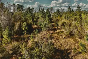 00 W Market Rd, Starke, FL 32091 - Photo 17