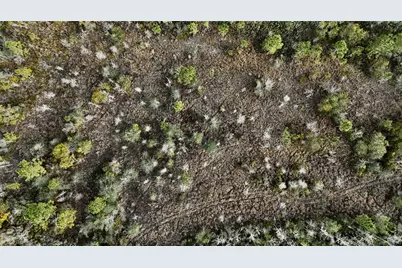 00 W Market Road, Starke, FL 32091 - Photo 21