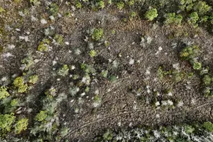 00 W Market Rd, Starke, FL 32091 - Photo 21