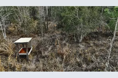 00 W Market Road, Starke, FL 32091 - Photo 7