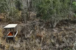 00 W Market Rd, Starke, FL 32091 - Photo 7