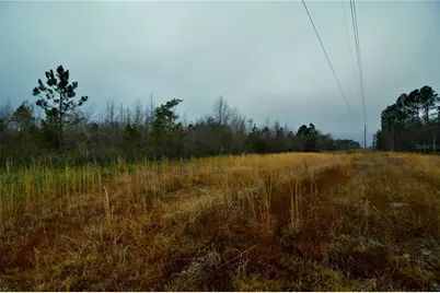 00 W Market Road, Starke, FL 32091 - Photo 11