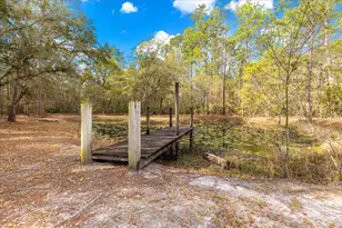 6750 NE 137th Pl, Citra, FL 32113 - Photo 31