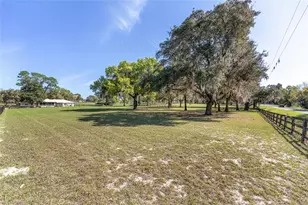 205 E Hwy 318, Citra, FL 32113 - Photo 65