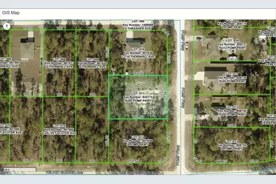 16295 Pomp Parkway, Weeki Wachee, FL 34614 - Photo 5