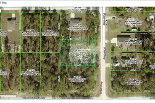 16295 Pomp Pkwy, Weeki Wachee, FL 34614 - Photo 5