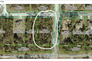 12312 Quigley Ave, Brooksville, FL 34614 - Photo 5