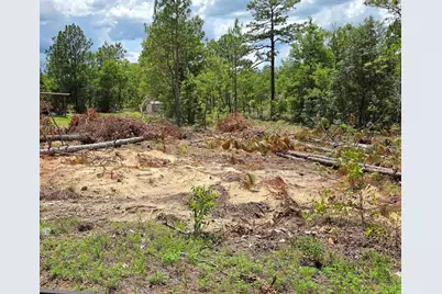 Tbd NE 14th Place, Williston, FL 32696 - Photo 1