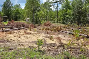 Tbd NE 14th Pl, Williston, FL 32696 - Photo 1