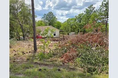 Tbd NE 14th Place, Williston, FL 32696 - Photo 3