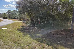 Tbd NE 14th Pl, Williston, FL 32696 - Photo 1