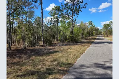 Tbd NE 14th Place, Williston, FL 32696 - Photo 3