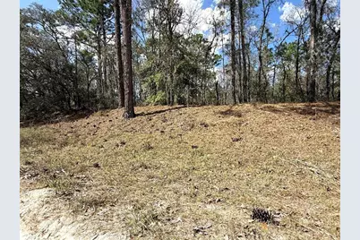 Tbd SW 85th Place, Dunnellon, FL 34432 - Photo 7