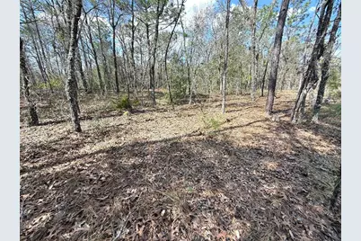 Tbd SW 85th Place, Dunnellon, FL 34432 - Photo 11