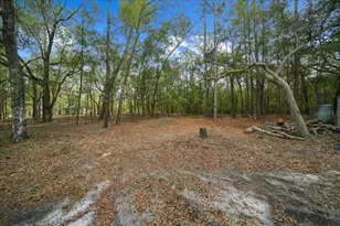 7550 SW 185th Cir, Dunnellon, FL 34432 - Photo 59