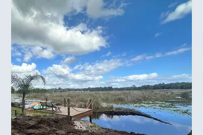 24876 NE 135th Lane, Fort Mc Coy, FL 32134 - Photo 23