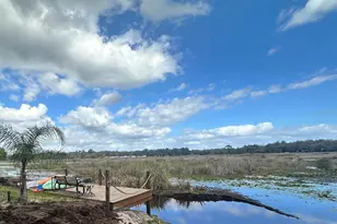 24876 NE 135th Ln, Fort Mc Coy, FL 32134 - Photo 23